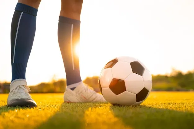 社会责任与愿景